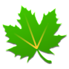 Logo Greenify